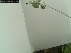 view from Weather Cam on 2025-07-09