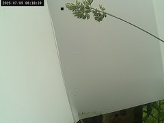 view from Weather Cam on 2025-07-09