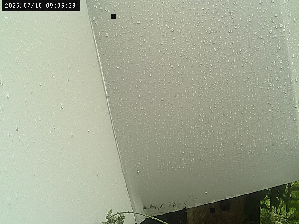 time-lapse frame, Weather Cam webcam