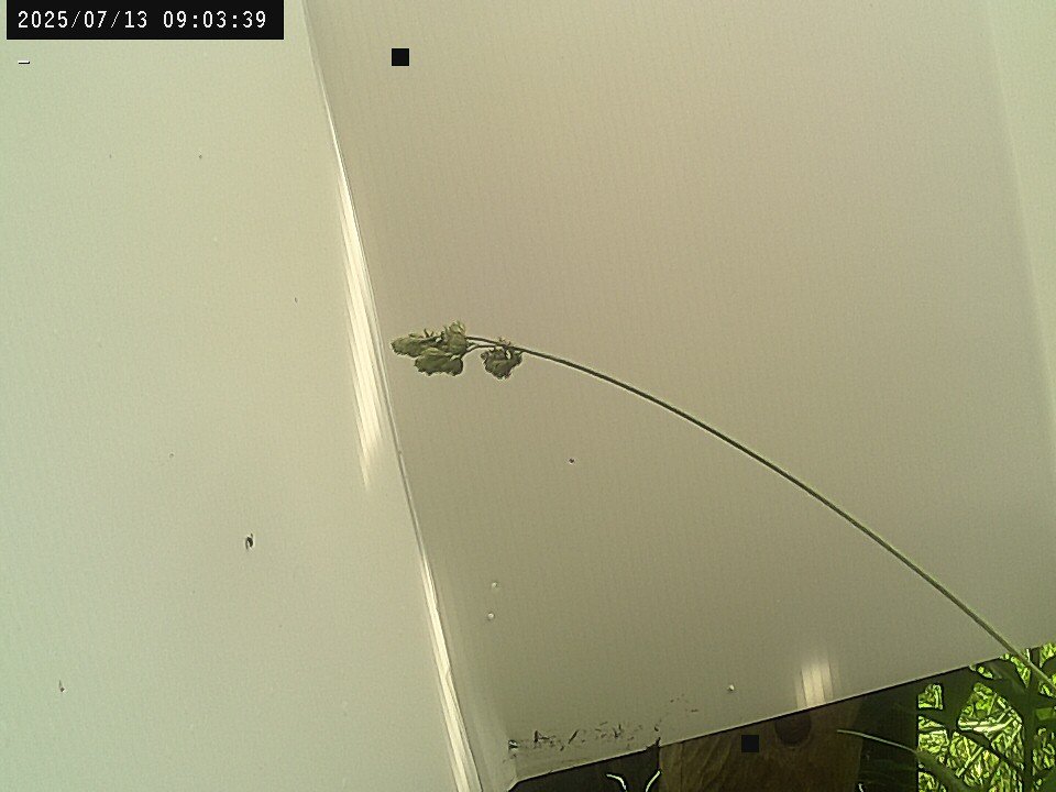 time-lapse frame, Weather Cam webcam
