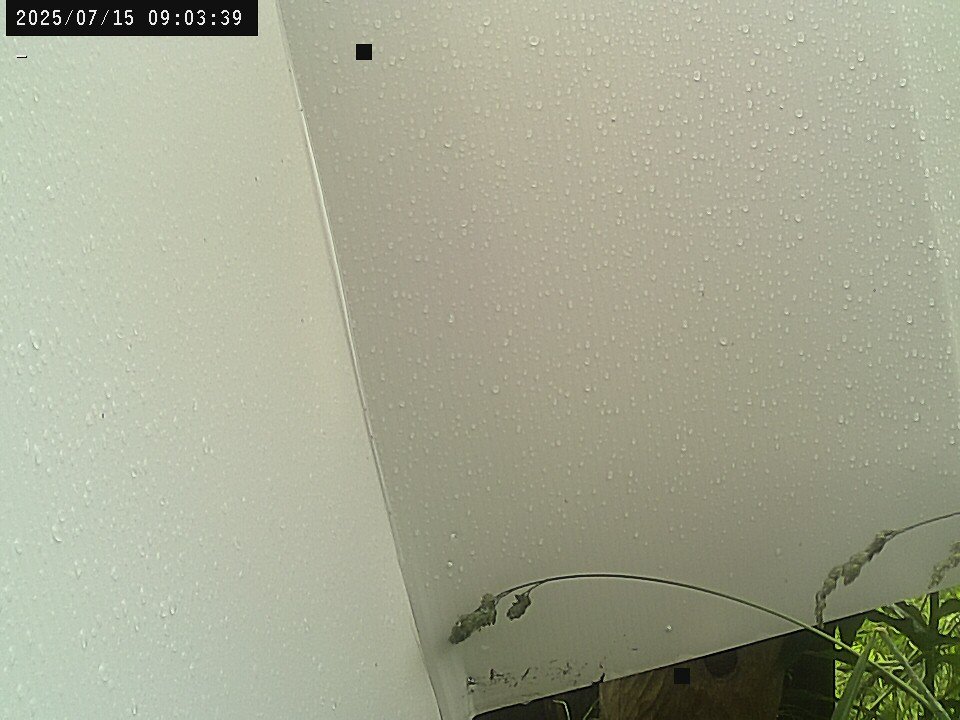 time-lapse frame, Weather Cam webcam