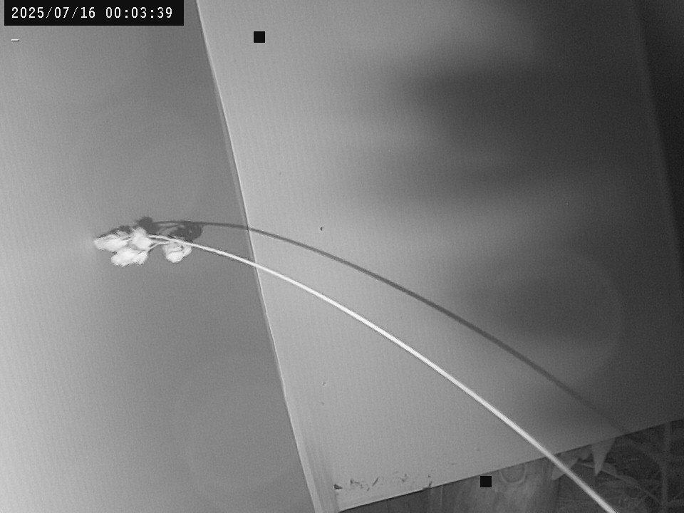 time-lapse frame, Weather Cam webcam