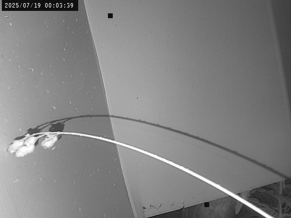 time-lapse frame, Weather Cam webcam