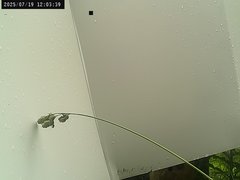view from Weather Cam on 2025-07-19
