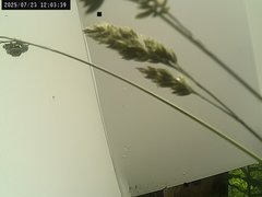 view from Weather Cam on 2025-07-23