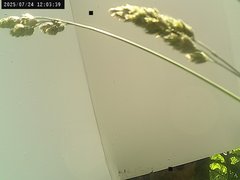 view from Weather Cam on 2025-07-24