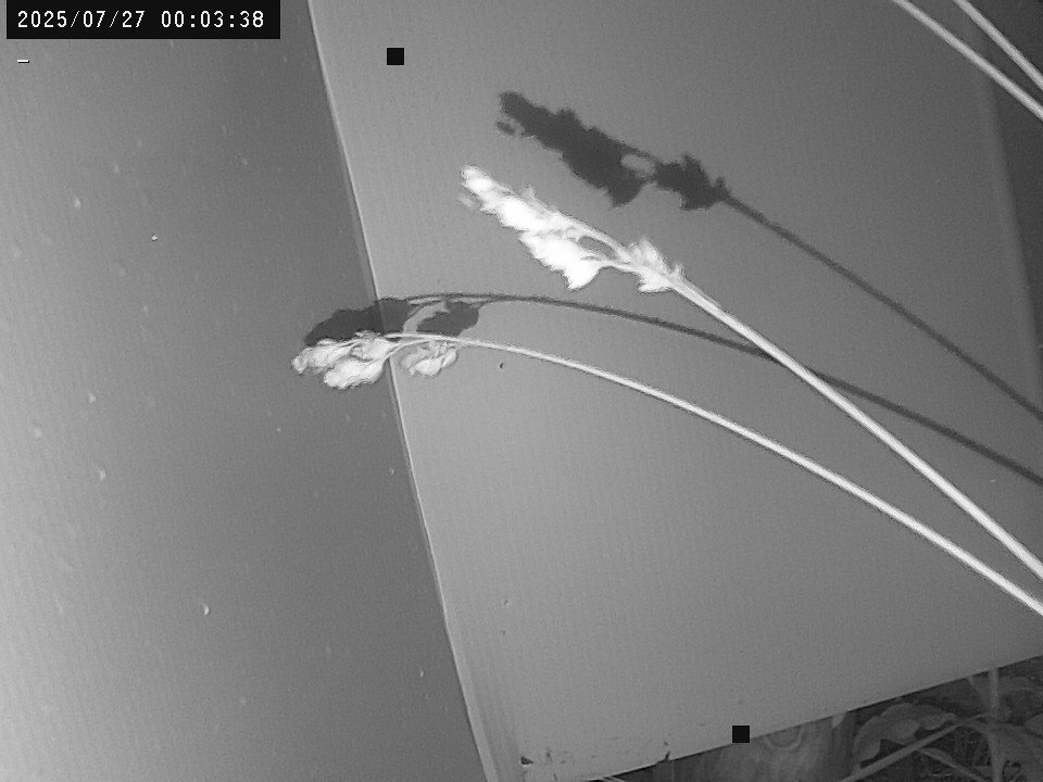 time-lapse frame, Weather Cam webcam