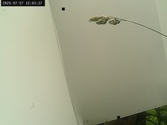 view from Weather Cam on 2025-07-27