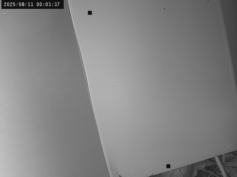 time-lapse frame, Weather Cam webcam