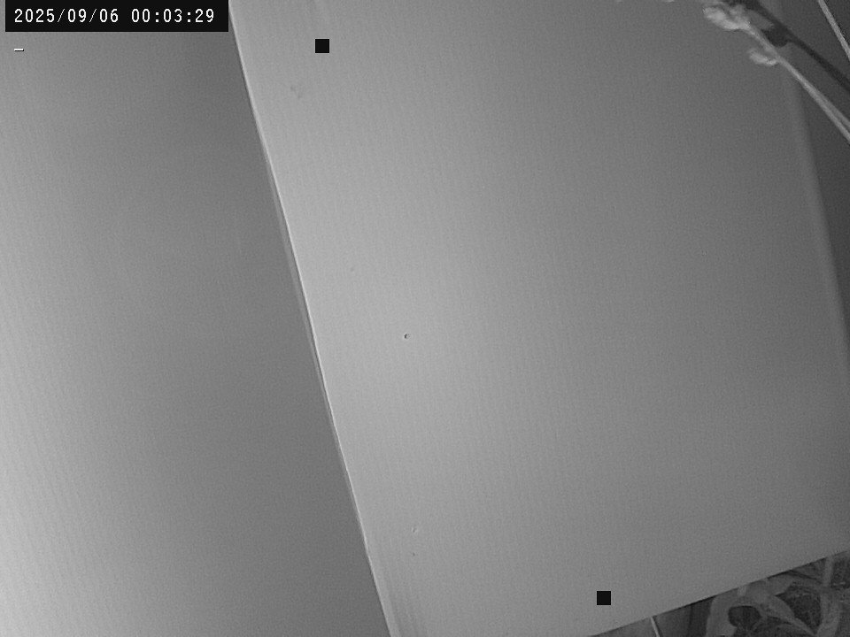 time-lapse frame, Weather Cam webcam
