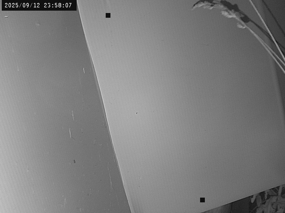 time-lapse frame, Weather Cam webcam