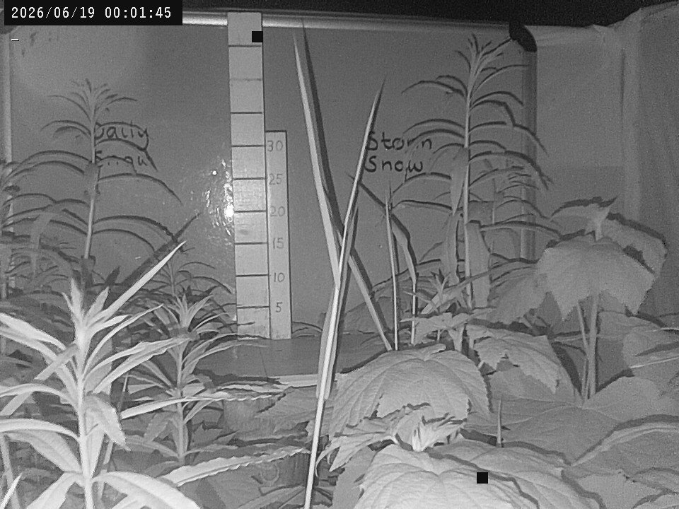 time-lapse frame, Weather Cam webcam