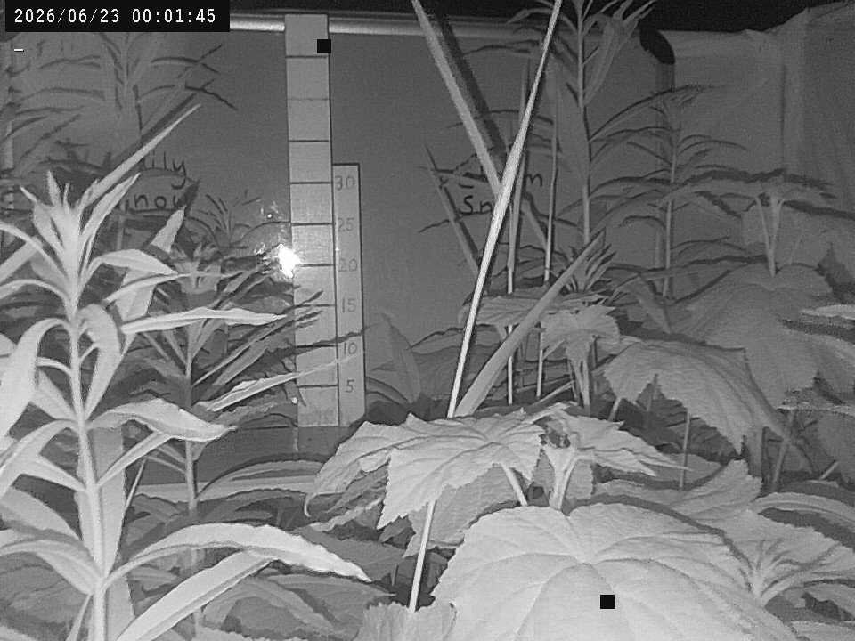 time-lapse frame, Weather Cam webcam