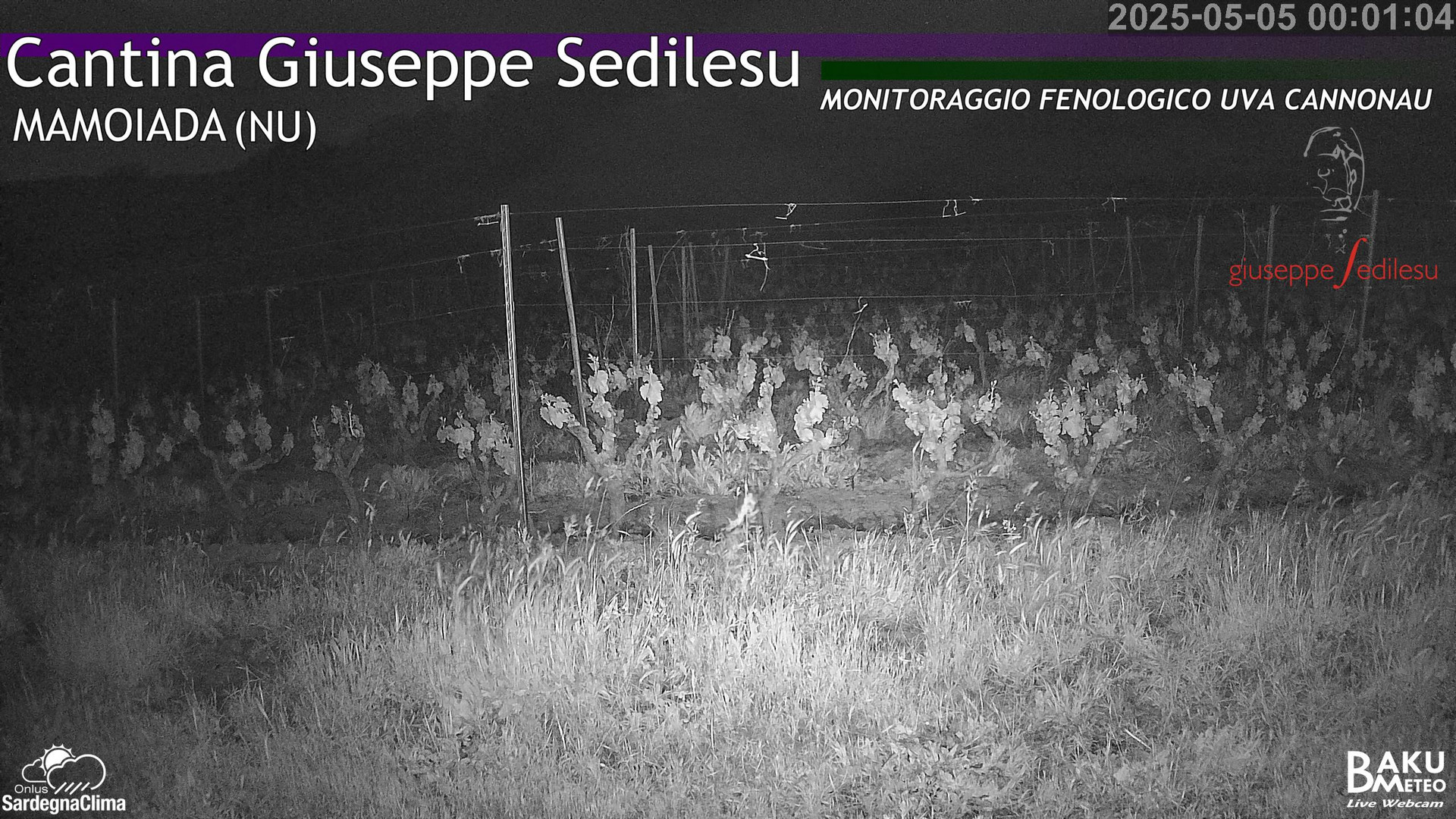 time-lapse frame, Mamoiada_Feonologica webcam