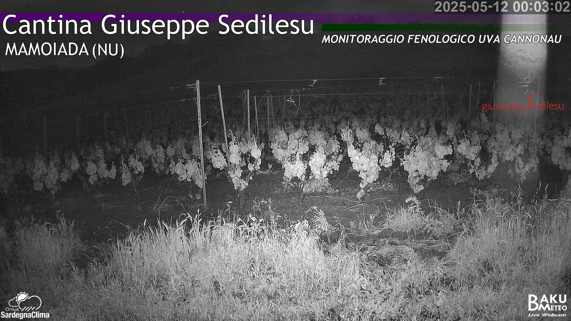 time-lapse frame, Mamoiada_Feonologica webcam