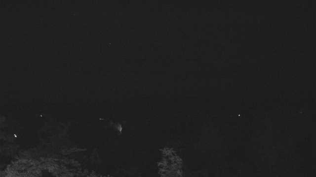time-lapse frame, Greenwood Vista - Mountain View (Wide) webcam