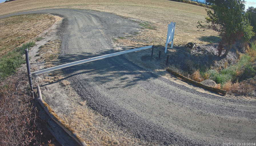 time-lapse frame, FAW-CAM-3 webcam