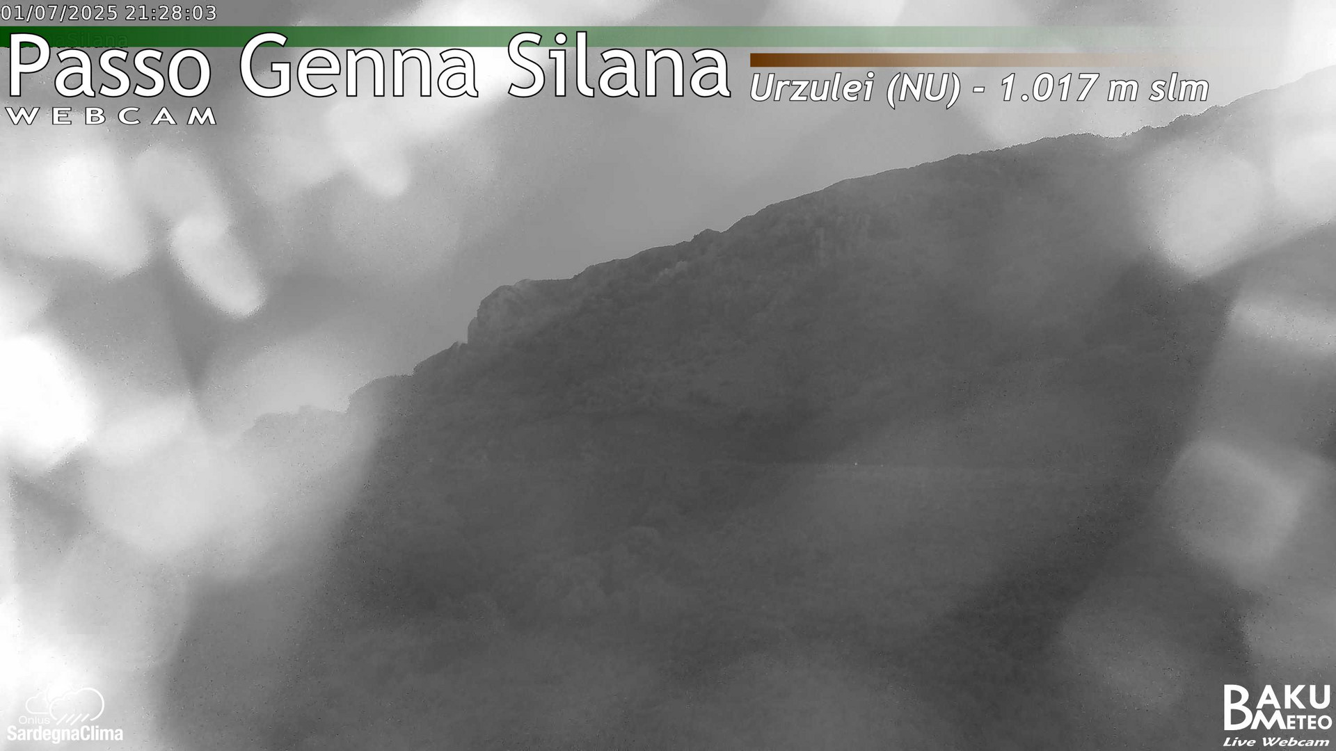 Genna Silana animated GIF