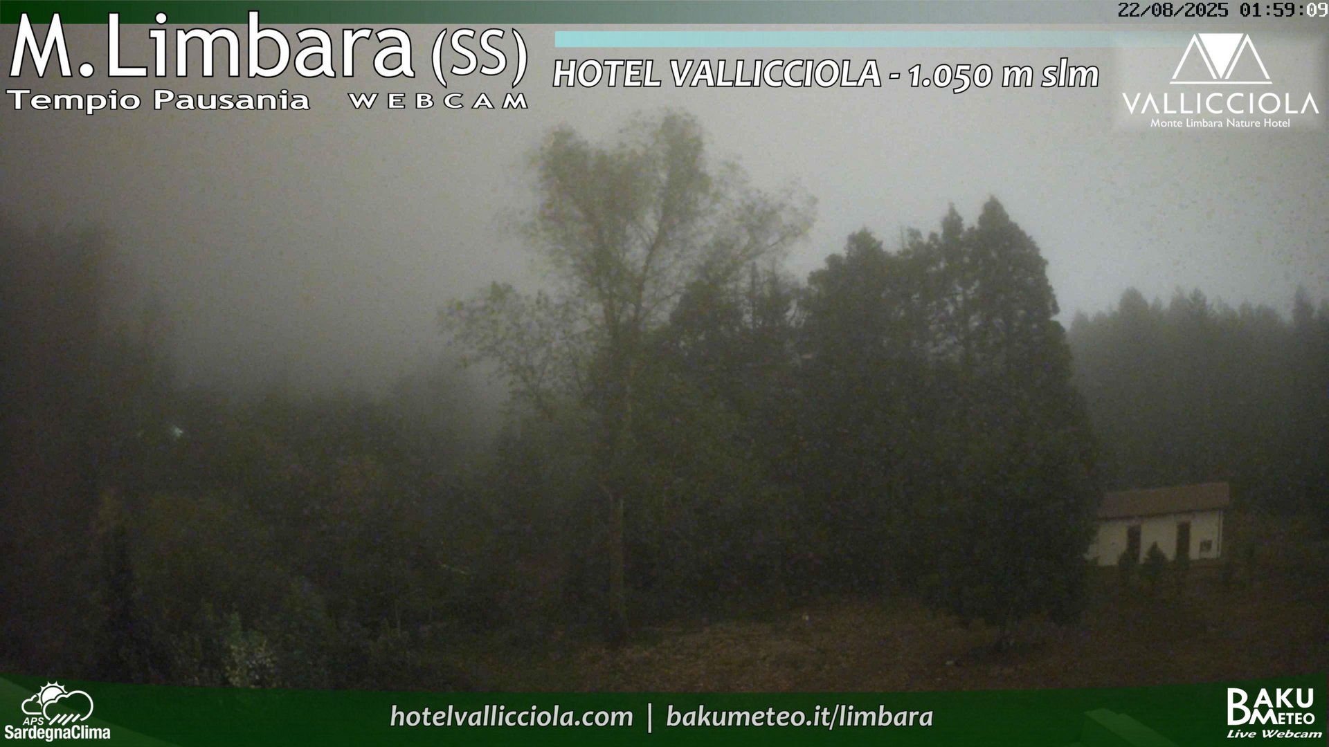 time-lapse frame, Monte Limbara Vallicciola webcam