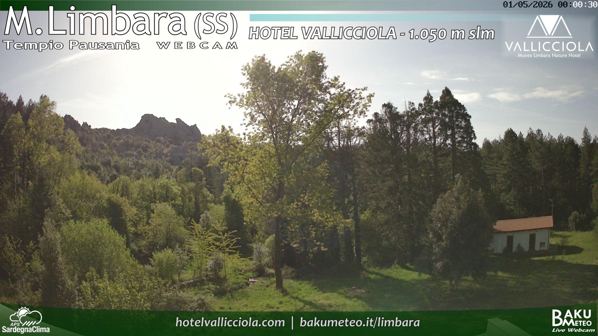 time-lapse frame, Monte Limbara Vallicciola webcam