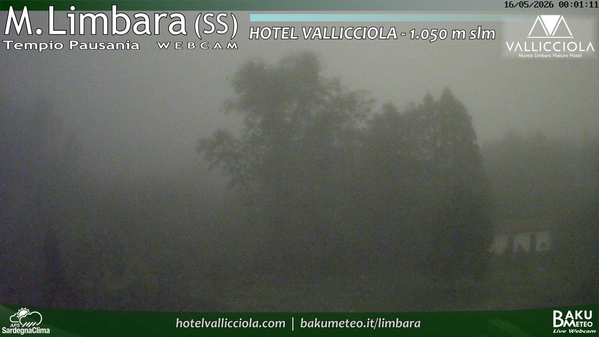 time-lapse frame, Monte Limbara Vallicciola webcam