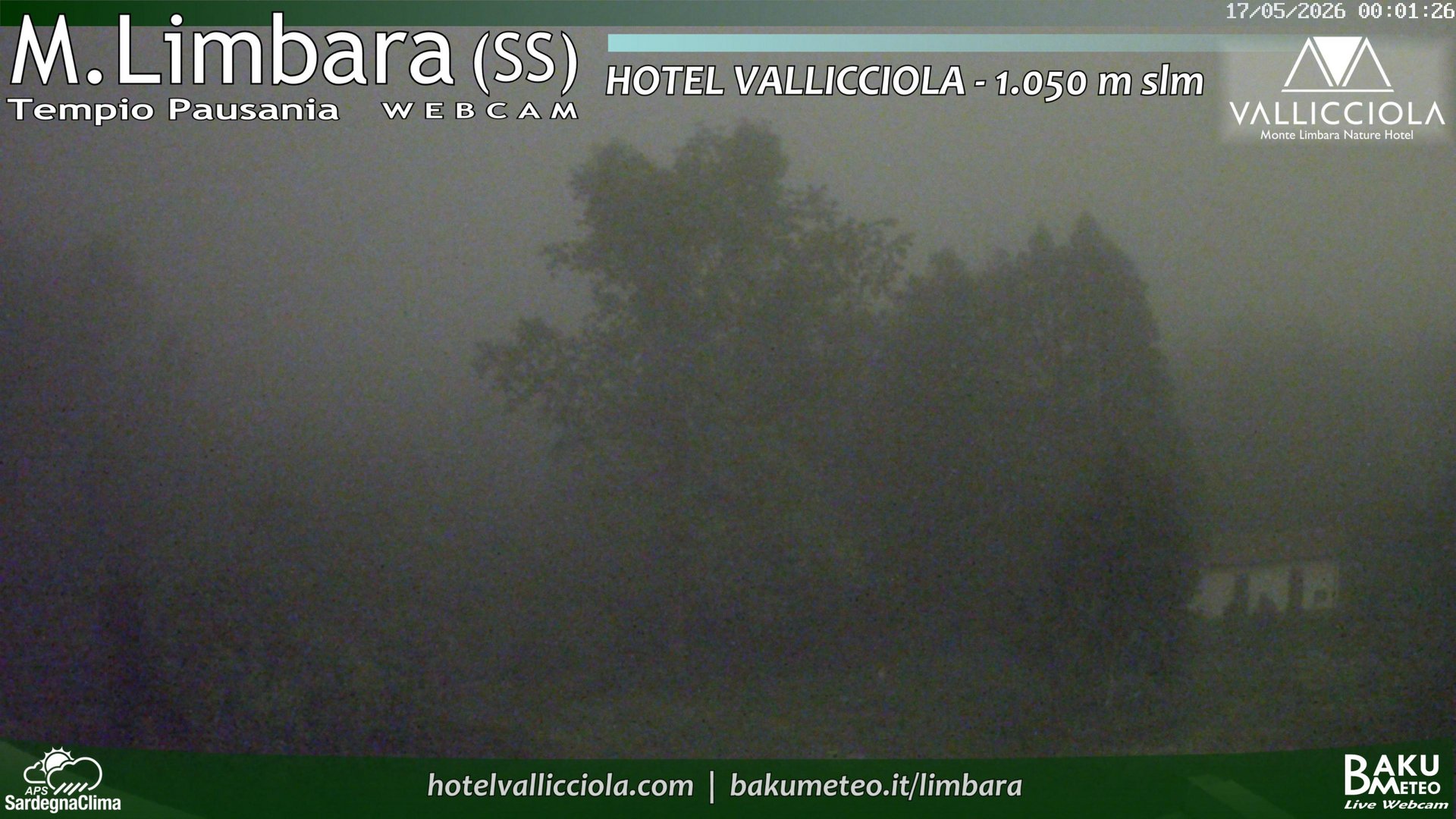 time-lapse frame, Monte Limbara Vallicciola webcam