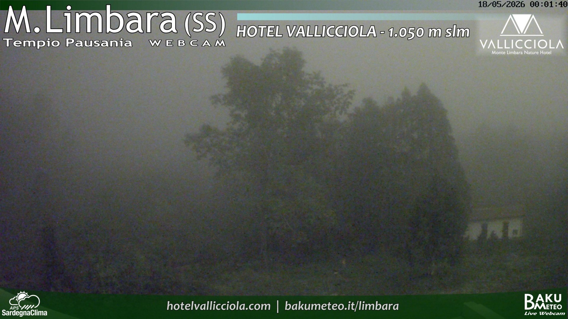 time-lapse frame, Monte Limbara Vallicciola webcam