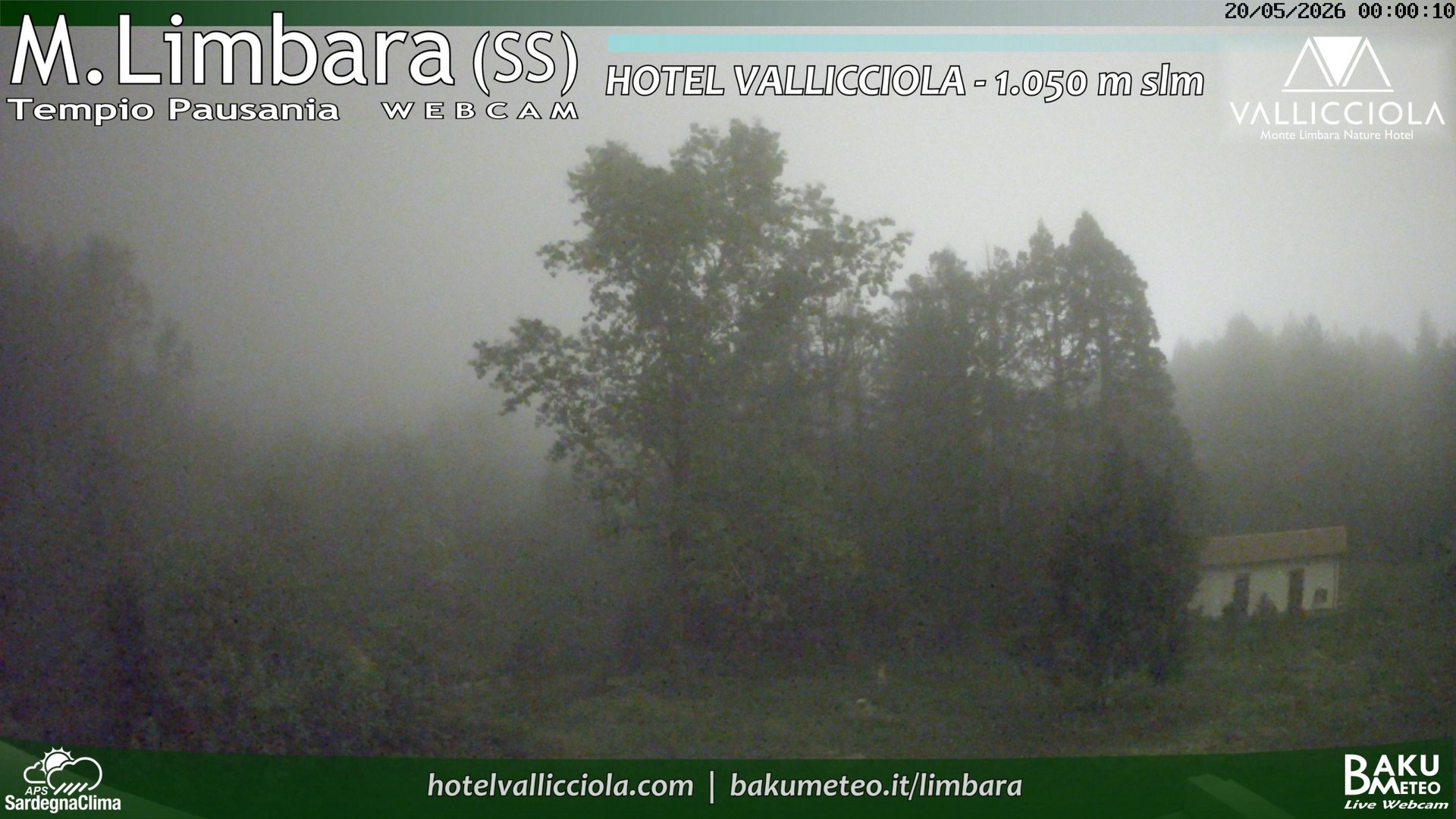time-lapse frame, Monte Limbara Vallicciola webcam