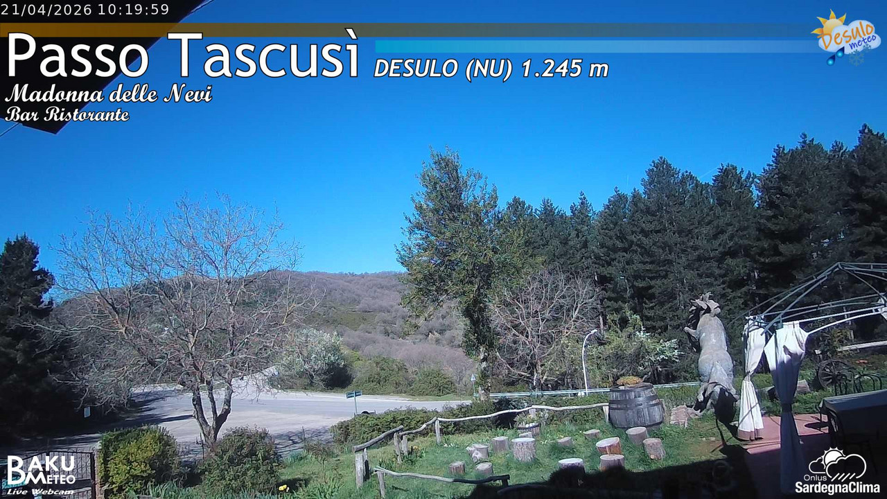 Tascusì animated GIF