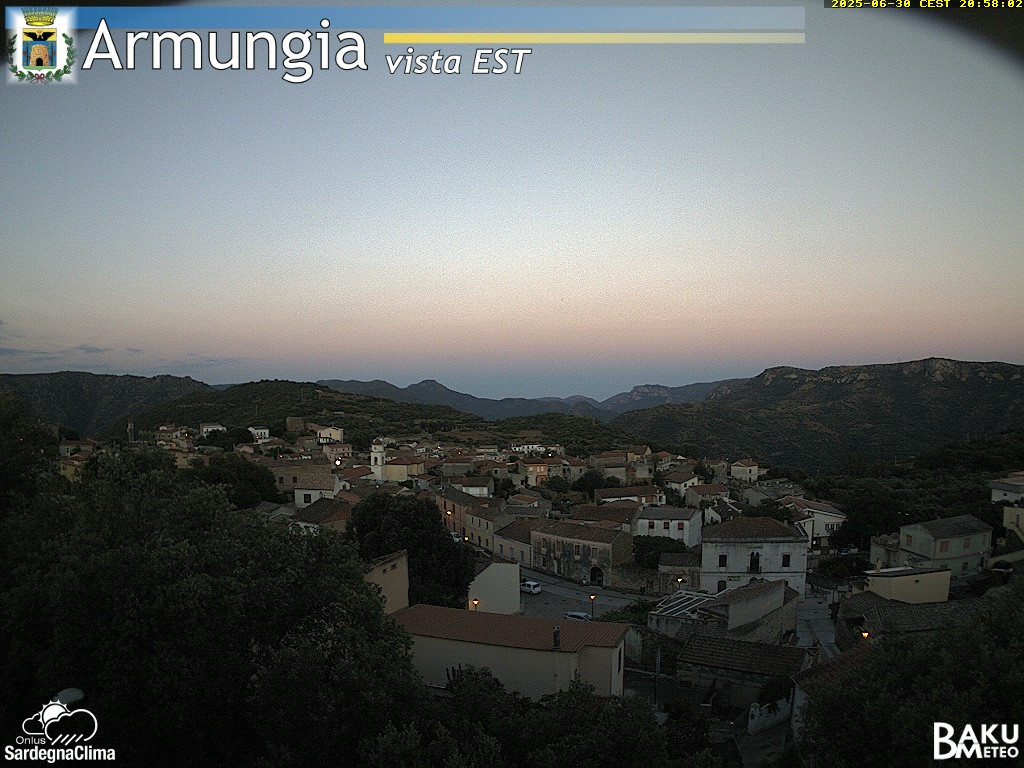 Armungia animated GIF