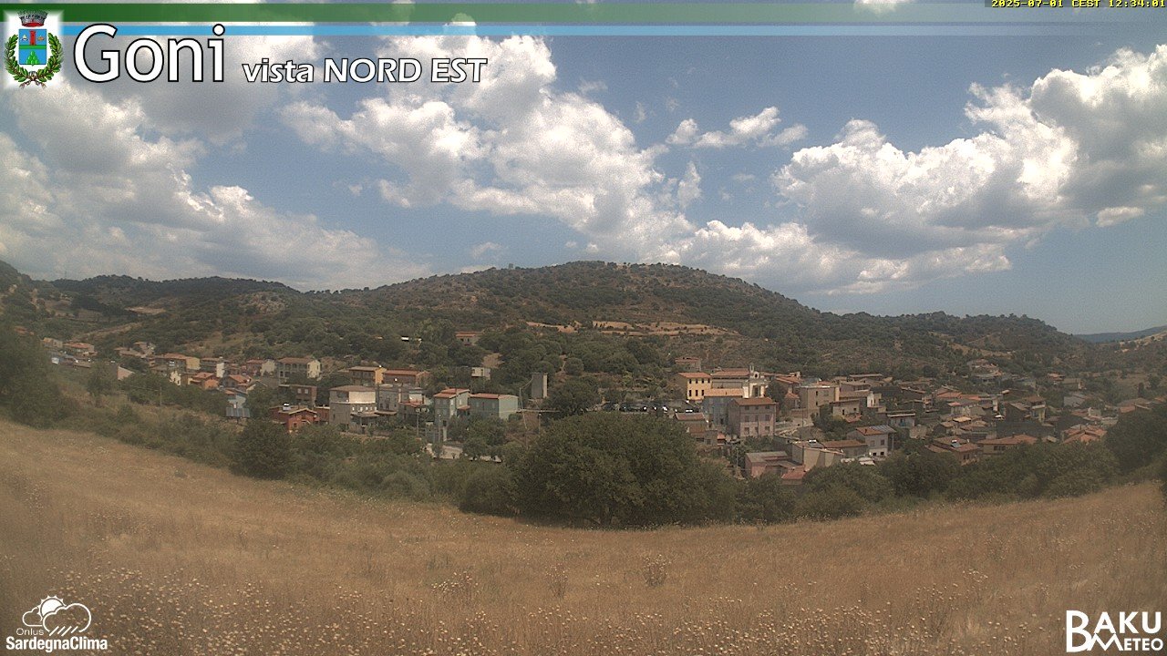 Goni animated GIF
