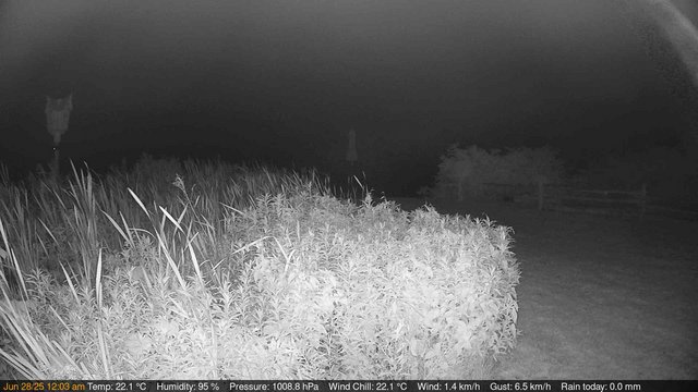 time-lapse frame, Deck-Dock Cam webcam