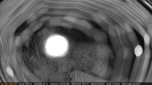 time-lapse frame, Deck-Dock Cam webcam