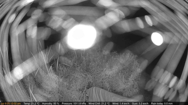 time-lapse frame, Deck-Dock Cam webcam