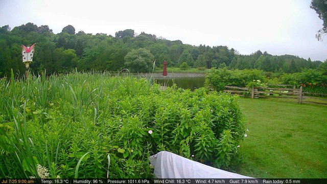 time-lapse frame, Deck-Dock Cam webcam