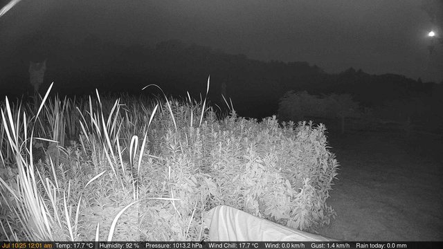 time-lapse frame, Deck-Dock Cam webcam