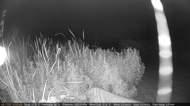 time-lapse frame, Deck-Dock Cam webcam