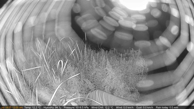 time-lapse frame, Deck-Dock Cam webcam