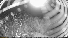 view from Deck-Dock Cam on 2025-07-19
