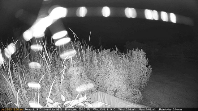 time-lapse frame, Deck-Dock Cam webcam