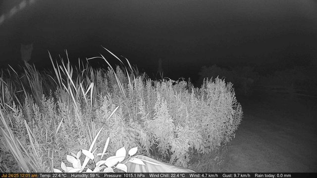 time-lapse frame, Deck-Dock Cam webcam