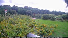 view from Deck-Dock Cam on 2025-09-04