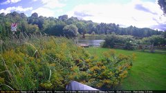 view from Deck-Dock Cam on 2025-09-07