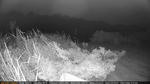 time-lapse frame, Deck-Dock Cam webcam