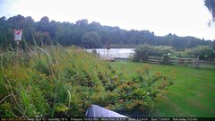 view from Deck-Dock Cam on 2025-09-13
