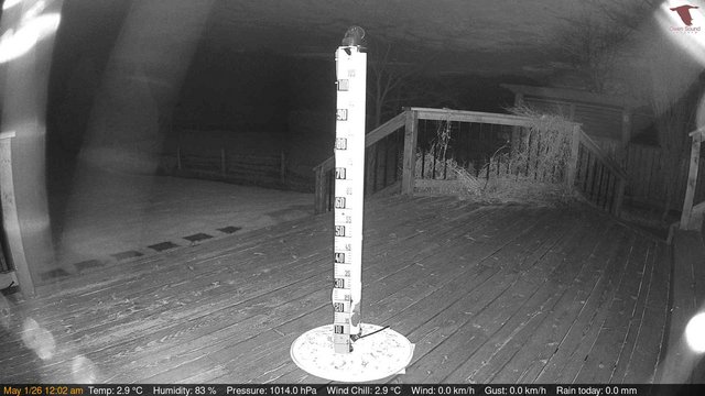 time-lapse frame, Deck-Dock Cam webcam