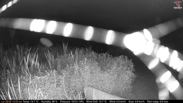time-lapse frame, Deck-Dock Cam webcam