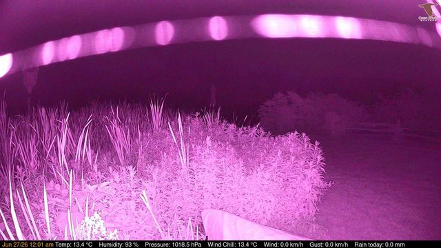 time-lapse frame, Deck-Dock Cam webcam