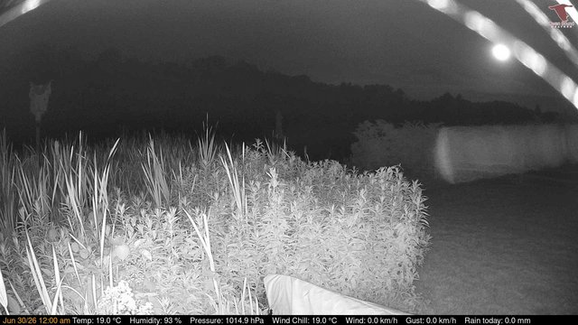 time-lapse frame, Deck-Dock Cam webcam