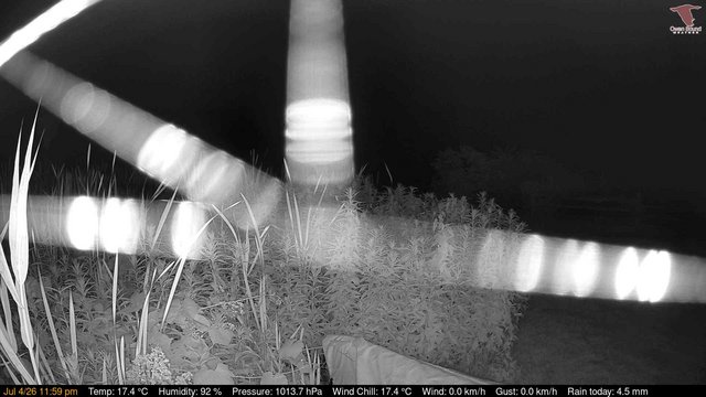 time-lapse frame, Deck-Dock Cam webcam